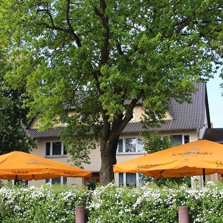 Gasthof Zur Friedenseiche Lohsa Esterno foto