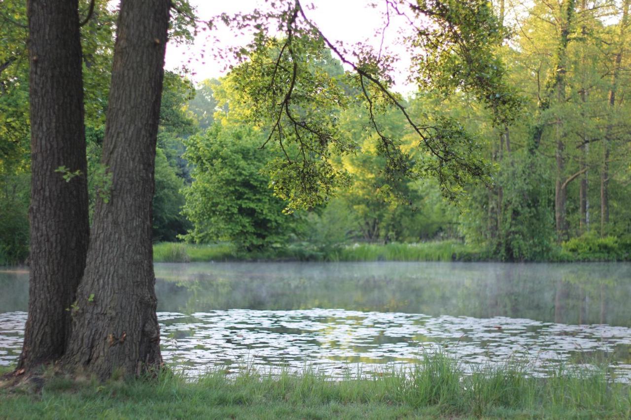 Gasthof Zur Friedenseiche Lohsa Esterno foto